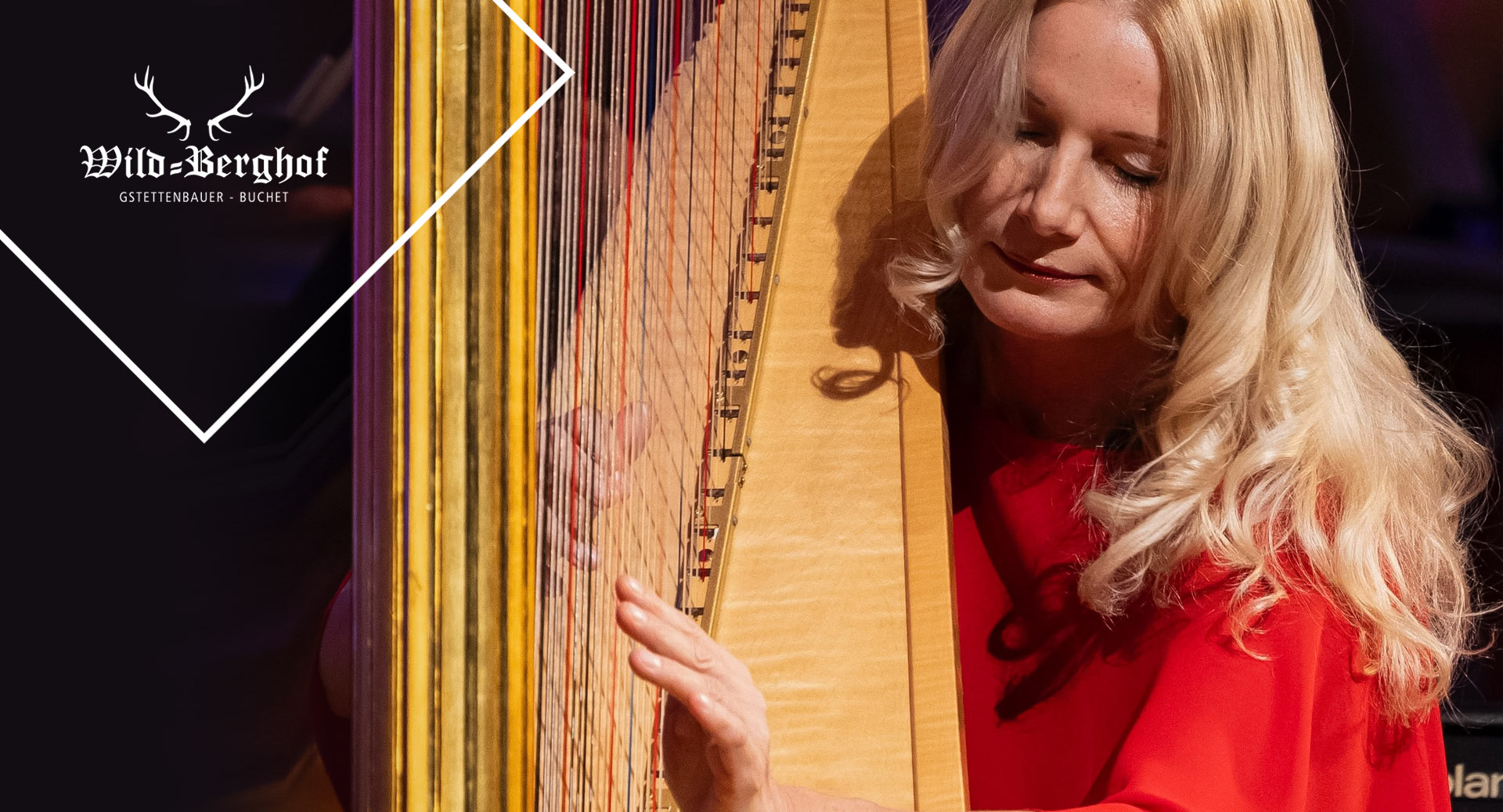 Home Header Gankino1